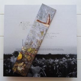 Roslyn Steer - You'll Know