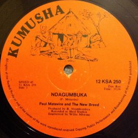 Paul Matavire, The New Breed (15) - Ndagumbuka