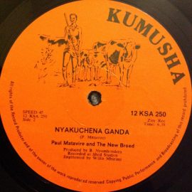 Paul Matavire, The New Breed (15) - Ndagumbuka