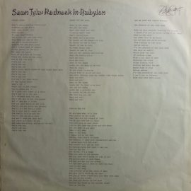 Sean Tyla - Redneck In Babylon