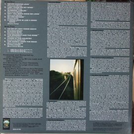 Various - Silver Meteor: A Progressive Country Anthology
