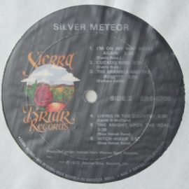 Various - Silver Meteor: A Progressive Country Anthology