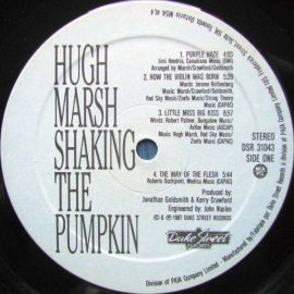 Hugh Marsh - Shaking The Pumpkin