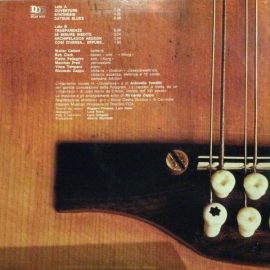 Riccardo Zappa - Trasparenze