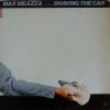 Max Meazza - Shaving The Car