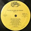 Various - Blues As Big As Texas - Vol. 1