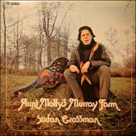 Stefan Grossman - Aunt Molly's Murray Farm