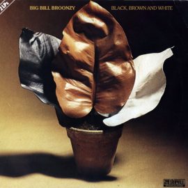 Big Bill Broonzy - Black, Brown And White