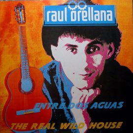 Raúl Orellana - The Real Wild House