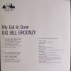 Big Bill Broonzy - My Gal Is Gone