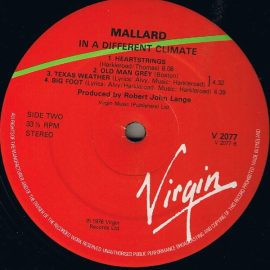 Mallard - In A Different Climate