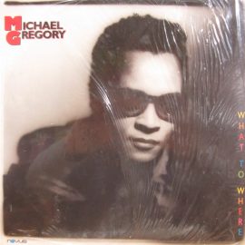 Michael Gregory - What To Where