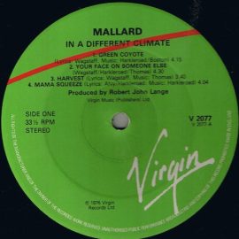 Mallard - In A Different Climate