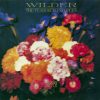 The Teardrop Explodes - Wilder