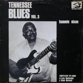 Hammie Nixon - Tennessee Blues Vol. 3