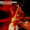 Bruce Cockburn - Circles In The Stream