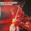 Bruce Cockburn - Circles In The Stream