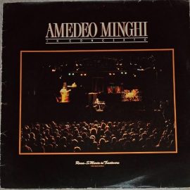 Amedeo Minghi - In Concerto