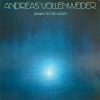 Andreas Vollenweider - Down To The Moon