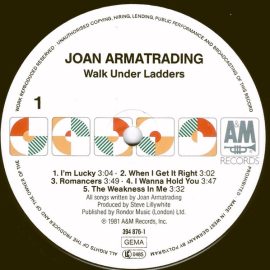 Joan Armatrading - Walk Under Ladders