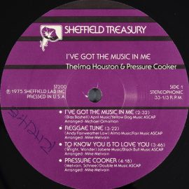 Thelma Houston & Pressure Cooker - I've Got The Music In Me