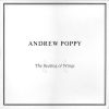 Andrew Poppy - The Beating Of Wings