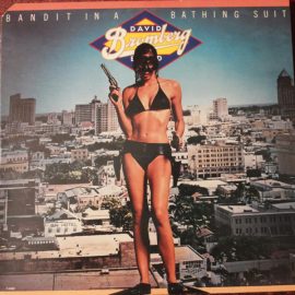 David Bromberg Band - Bandit In A Bathing Suit