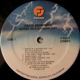 David Bromberg Band - Bandit In A Bathing Suit