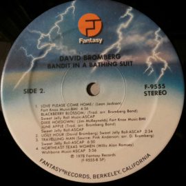 David Bromberg Band - Bandit In A Bathing Suit