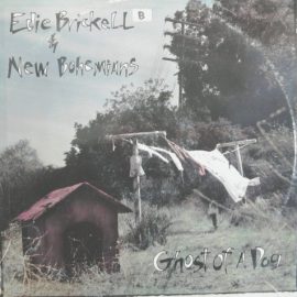 Edie Brickell & New Bohemians - Ghost Of A Dog
