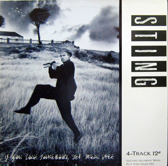 Sting - If You Love Somebody Set Them Free