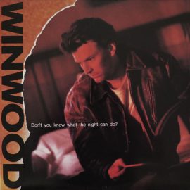Steve Winwood - Don't You Know What The Night Can Do?