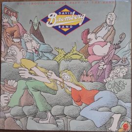 David Bromberg Band - You Should See The Rest Of The Band