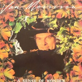 Van Morrison - A Sense Of Wonder