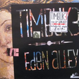 Timbuk 3 - Eden Alley