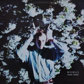 Momus - Tender Pervert
