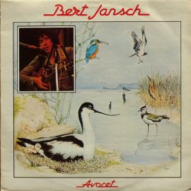 Bert Jansch - Avocet