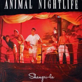 Animal Nightlife - Shangri-La