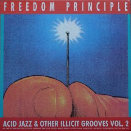 Various - Freedom Principle: Acid Jazz & Other Illicit Grooves Vol. 2