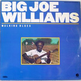 Big Joe Williams - Walking Blues