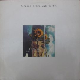 BoDeans - Black And White