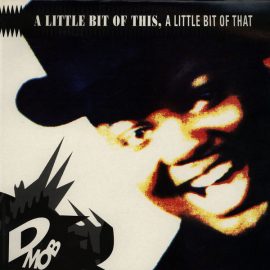 D Mob - A Little Bit Of This, A Little Bit Of That