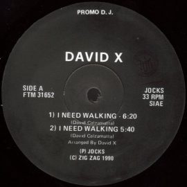 David X - I Need Walking