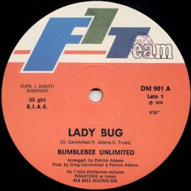 Bumblebee Unlimited - Lady Bug