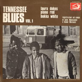 Laura Dukes / Memphis Piano Red / Bukka White - Tennessee Blues Vol. 1