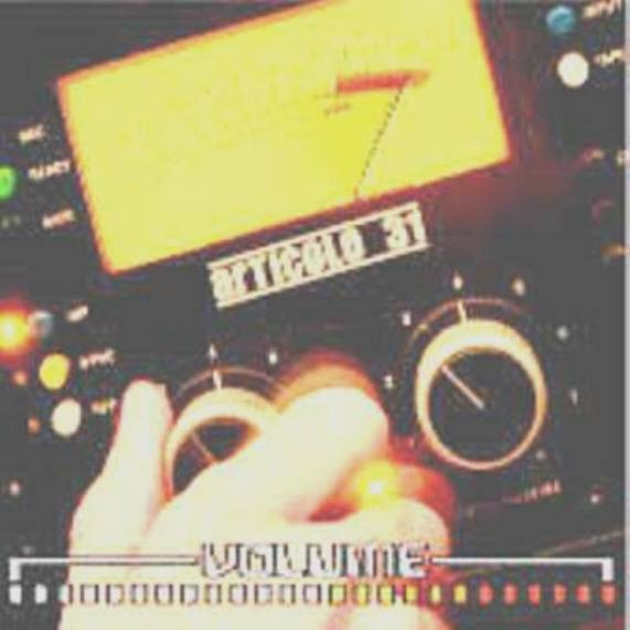 Articolo 31 - Volume