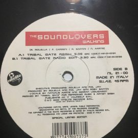 The Soundlovers - Walking (The Remix)