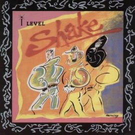I Level* - Shake