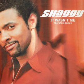Shaggy Featuring Rik Rok - It Wasn't Me