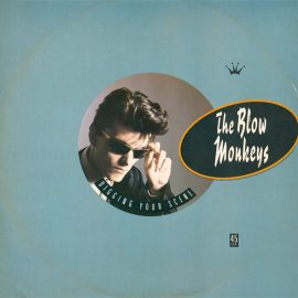 The Blow Monkeys - Digging Your Scene